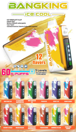 BangKing Ice Cool 60000 Puffs 拋棄式電子煙 五檔涼度可調一次性電子煙 新品上市